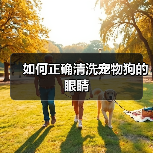 宠物狗眼睛清洁规范方法及护理指南