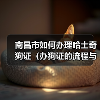 南昌市如何办理哈士奇狗证（办狗证的流程与注意事项）（图4）