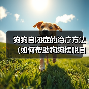 狗狗自闭症的治疗方法（如何帮助狗狗摆脱自闭症困扰）（图2）