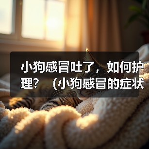 小狗感冒吐了，如何护理？（小狗感冒的症状、原因及护理方法）（图4）