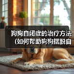 狗狗自闭症的治疗方法（如何帮助狗狗摆脱自闭症困扰）（图3）