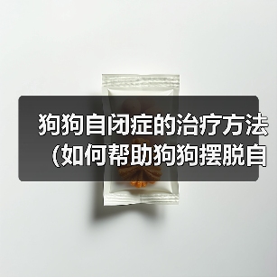 狗狗自闭症的治疗方法（如何帮助狗狗摆脱自闭症困扰）（图4）