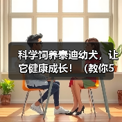 科学饲养泰迪幼犬，让它健康成长！（教你5个科学的方法，让泰迪宝宝快乐成长）（图2）