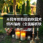 不同年龄阶段的秋田犬饲养指南（全面解析秋田犬在不同年龄阶段的饲养要点与技巧）（图2）