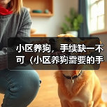 小区养狗，手续缺一不可（小区养狗需要的手续及办理流程，了解一下吧！）（图4）