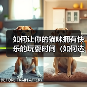 如何让你的猫咪拥有快乐的玩耍时间（如何选择适合猫咪的玩具）（图3）