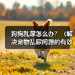 狗狗乱尿怎么办？（解决宠物乱尿问题的有效方法）（图1）