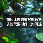 如何让你的猫咪拥有快乐的玩耍时间（如何选择适合猫咪的玩具）（图1）