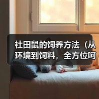 社田鼠的饲养方法（从环境到饲料，全方位呵护你的社田鼠）（图1）