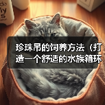 珍珠吊的饲养方法（打造一个舒适的水族箱环境）（图1）