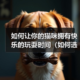 如何让你的猫咪拥有快乐的玩耍时间（如何选择适合猫咪的玩具）（图2）
