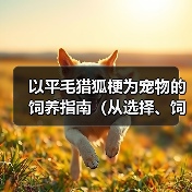 以平毛猎狐梗为宠物的饲养指南（从选择、饲料到训练，了解平毛猎狐梗的一切）（图2）