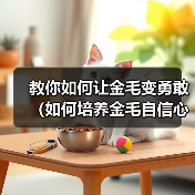 教你如何让金毛变勇敢（如何培养金毛自信心）（图3）
