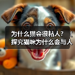 为什么猫会很粘人？（探究猫咪为什么会与人类产生亲密关系的原因）（图3）