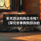冬天游泳狗狗会冷吗？（探究冬季狗狗游泳的注意事项）（图4）