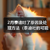 2月泰迪吐了原因及处理方法（泰迪吐的可能原因和预防措施）（图3）