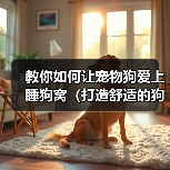 教你如何让宠物狗爱上睡狗窝（打造舒适的狗窝，培养狗狗好习惯）（图3）