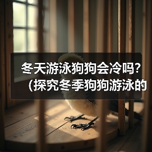 冬天游泳狗狗会冷吗？（探究冬季狗狗游泳的注意事项）（图3）