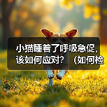 小猫呼吸急促怎么办？原因及急救方法解析