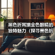 黑色折耳猫金色眼睛的独特魅力（探寻黑色折耳猫金色眼睛的美丽秘密）（图4）