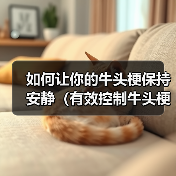 牛头梗吠叫控制方法：实用技巧和有效解决方案