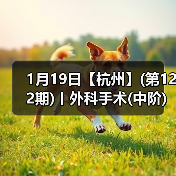 1月19日【杭州】(第122期)丨外科手术(中阶)实战班，2人/组提供一猫一狗，实操超多！（图3）