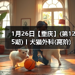 1月26日【重庆】(第125期)丨犬猫外科(高阶)班！含SUB(人人可实操)、乳糜胸等技术！（图3）