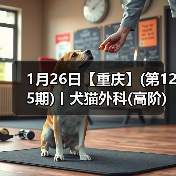 1月26日【重庆】(第125期)丨犬猫外科(高阶)班！含SUB(人人可实操)、乳糜胸等技术！（图1）