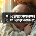 夏日小猫的蚊虫防护指南（如何保护小猫免受蚊虫叮咬的伤害？）（图2）