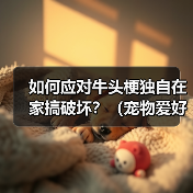 牛头梗在家捣乱怎么办？科学防范行为管理指南
