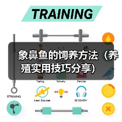 象鼻鱼的饲养方法（养殖实用技巧分享）（图3）