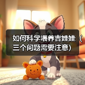 如何科学喂养吉娃娃（三个问题需要注意）（图4）