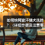 如何给阿富汗猎犬洗脸？（详细步骤及注意事项。）（图4）