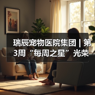瑞辰之星评选彰显企业文化与员工价值