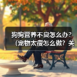 狗狗营养不良怎么办？（宠物太瘦怎么做？关注宠物的饮食健康！）（图4）