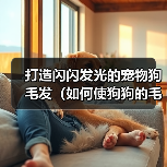 狗狗毛发闪亮健康技巧全解析