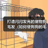 打造闪闪发光的宠物狗毛发（如何使狗狗的毛发有光泽？）（图2）