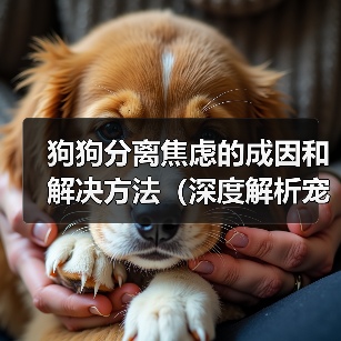 狗狗分离焦虑的成因和解决方法（深度解析宠物狗狗分离焦虑症状、原因及治疗方法）（图2）