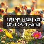 1月19日【杭州】(第122期)丨外科手术(中阶)实战班，2人/组提供一猫一狗，实操超多！（图2）