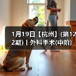 1月19日【杭州】(第122期)丨外科手术(中阶)实战班，2人/组提供一猫一狗，实操超多！（图3）