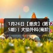 宠物外科高阶实操班 掌握复杂手术技巧