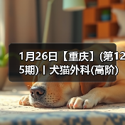 1月26日【重庆】(第125期)丨犬猫外科(高阶)班！含SUB(人人可实操)、乳糜胸等技术！（图2）