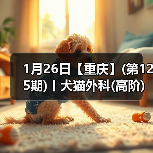 1月26日【重庆】(第125期)丨犬猫外科(高阶)班！含SUB(人人可实操)、乳糜胸等技术！（图3）