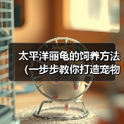 太平洋丽龟的饲养方法（一步步教你打造宠物丽龟之家）（图2）