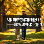 膀胱切开术操作规范及关键步骤解析