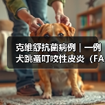 克维舒抗菌病例 | 一例犬跳蚤叮咬性皮炎（FAD）的病例分析（图2）