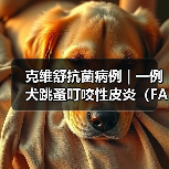 犬跳蚤过敏性皮炎诊断与综合管理策略