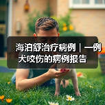海泊舒治疗病例 | 一例犬咬伤的病例报告（图2）