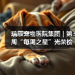 瑞辰之星表彰优秀人才 激励团队协作精神