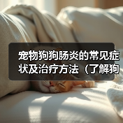 宠物狗狗肠炎的常见症状及治疗方法（了解狗狗肠炎，呵护宠物健康）（图2）